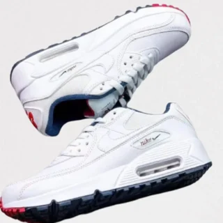 Air Max 90 Psg